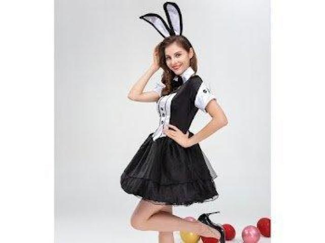 oj[Ch vCtGKX j[N p[eB[ Cxg ubN  t@bV 