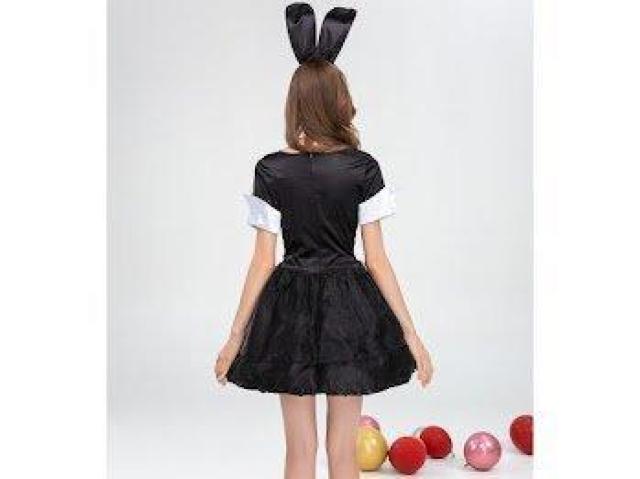 oj[Ch vCtGKX j[N p[eB[ Cxg ubN  t@bV 