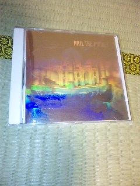 CD,高中正義/NAIL THE POCKET 帯なし < タレントグッズ  CD,高中正義/NAIL THE POCKET 帯なし  < タレントグッズの