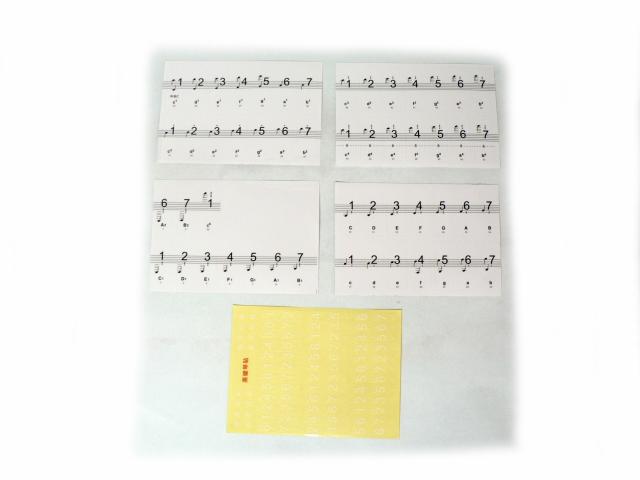 sAmEdqsAmՃV[ EՃXebJ[ E88L[Ή   zr[ 