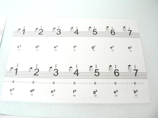 sAmEdqsAmՃV[ EՃXebJ[ E88L[Ή  zr[ 