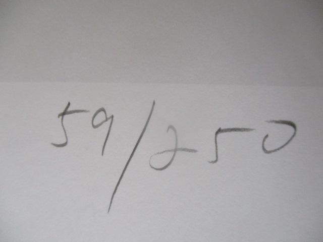 zioiIlCIΐYuȈPXv̌ŉAGfBVAMTC  zr[ 