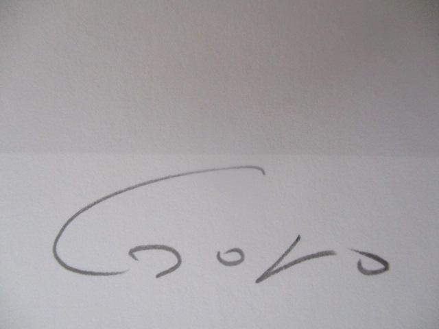 zioiIlCIΐYuȈPXv̌ŉAGfBVAMTC  zr[ 