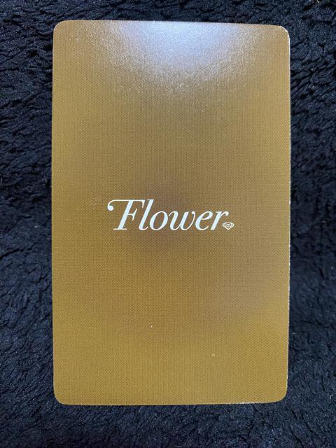 Flower☆メンバー集合トレカA☆ < タレントグッズ Flower☆メンバー集合トレカA☆ < タレントグッズの