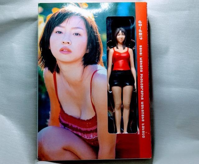 酒井若菜 直筆サイン入りフィギュア付き写真集 < タレントグッズ  酒井若菜 直筆サイン入りフィギュア付き写真集  < タレントグッズの