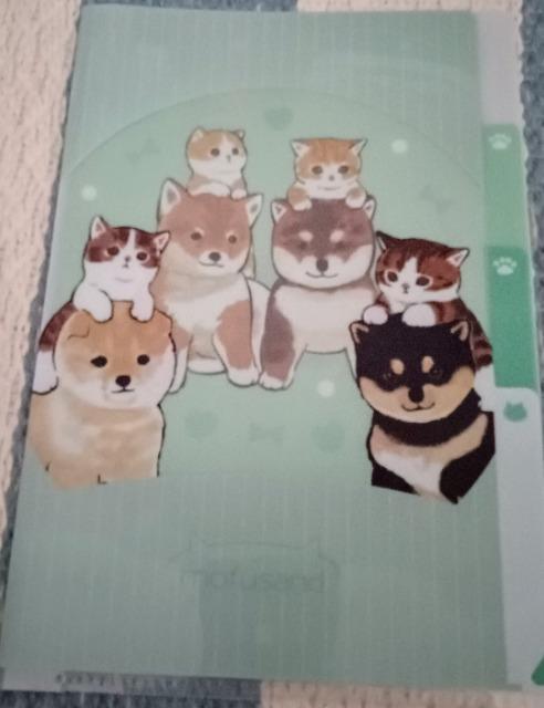 もふサンド A5クリアファイル 送料込み < アニメ/コミック/キャラクター  もふサンド A5クリアファイル 送料込み  < アニメ/コミック/キャラクターの