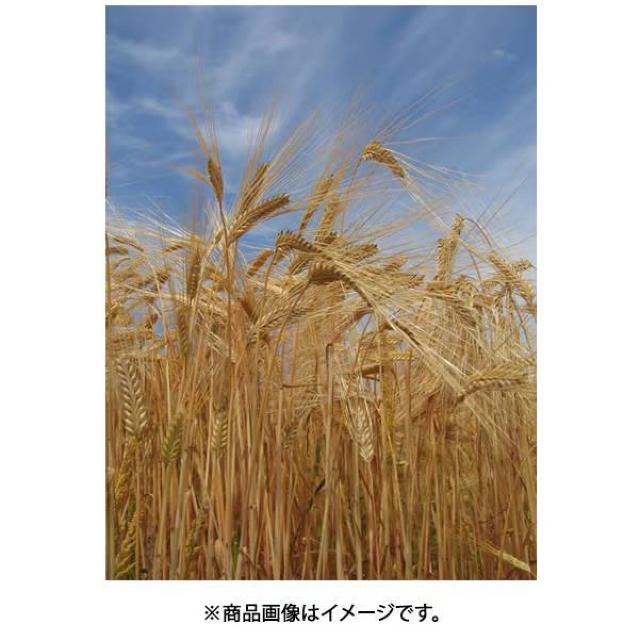 Vi Oa   25x 1800ml [Ē]  4008  O/hN 