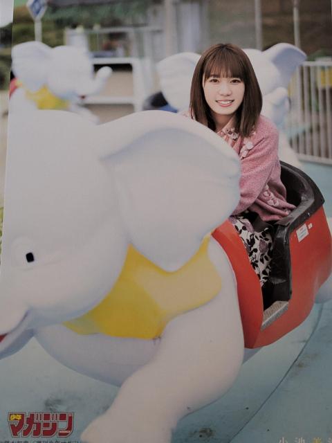 �N��|�X�g�J�[�h�Z�b�g �� �z�r�[�� 