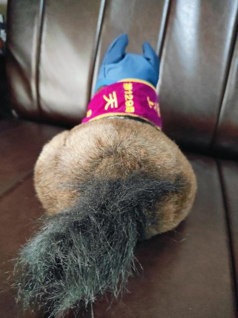 イングランディーレS 競馬 馬 ぬいぐるみ 第129回 天皇賞 < おもちゃ イングランディーレS 競馬 馬 ぬいぐるみ 第129回 天皇賞 < おもちゃの