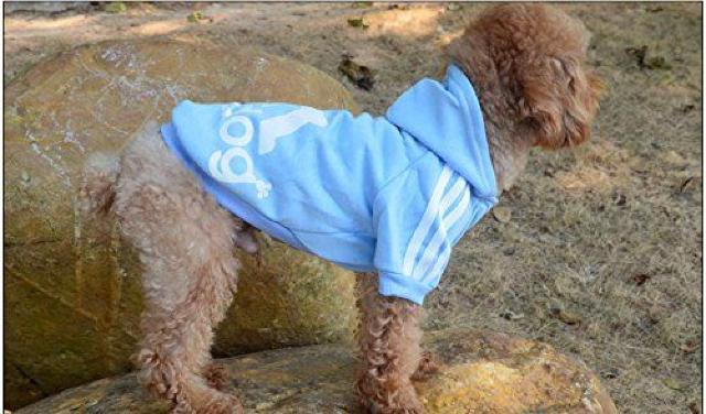 adidog 裏起毛パーカー M ライトブルー★新品 〜4kg位 < ペット/手芸/園芸  adidog 裏起毛パーカー M ライトブルー★新品 〜4kg位 < ペット/手芸/園芸の