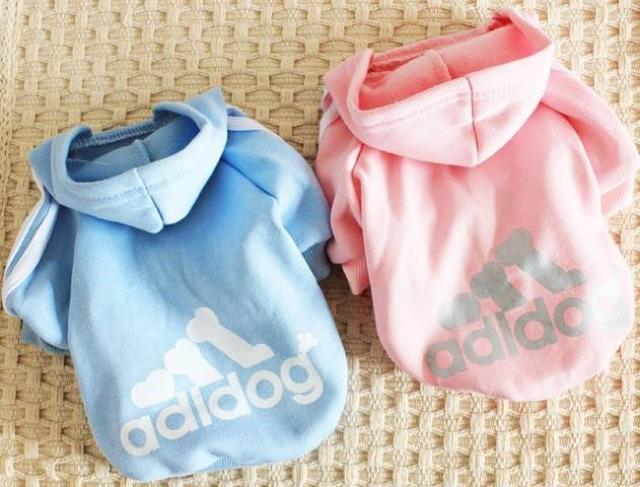 adidog 裏起毛パーカー M ライトブルー★新品 〜4kg位 < ペット/手芸/園芸  adidog 裏起毛パーカー M ライトブルー★新品 〜4kg位 < ペット/手芸/園芸の