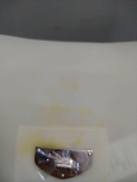 LIZ LISAV_[obO  |VFbg  uh 