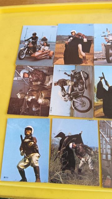 WILD�V�e���r���ʔ� �� �z�r�[�� 