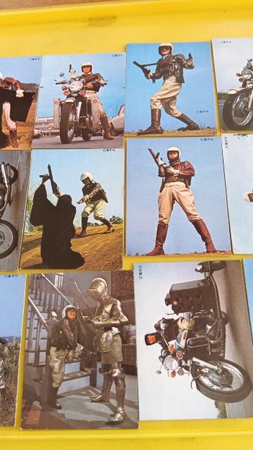 WILD�V�e���r���ʔ� �� �z�r�[�� 