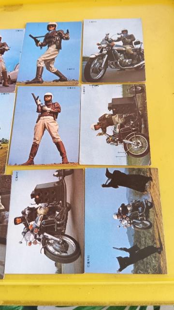 WILD�V�e���r���ʔ� �� �z�r�[�� 