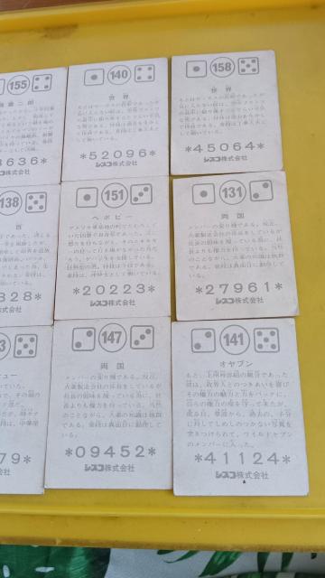 WILD�V�e���r���ʔ� �� �z�r�[�� 