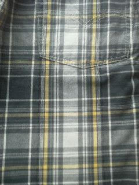 レターパックプラス送料無料 リーバイス、ハーフパンツ 新品 502 W30 Levi's < ブランド  レターパックプラス送料無料 リーバイス、ハーフパンツ 新品 502 W30 Levi's < ブランドの