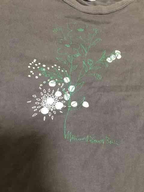 ナチュラルビューティ、Tシャツ used < ブランド  ナチュラルビューティ、Tシャツ used < ブランドの