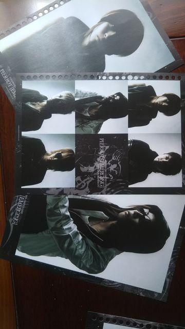 PIERROT |[g[gRNV   ^gObY 