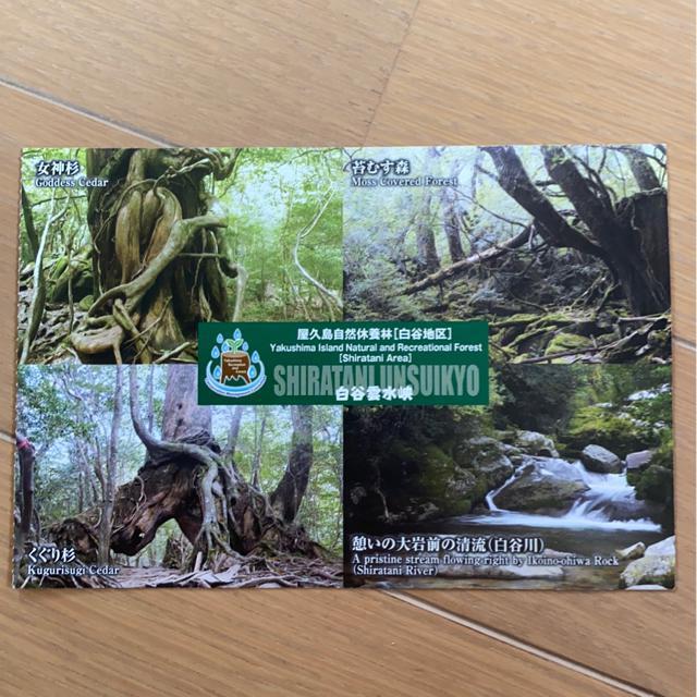 v̂2JAL̉v|XgJ[h2J_t