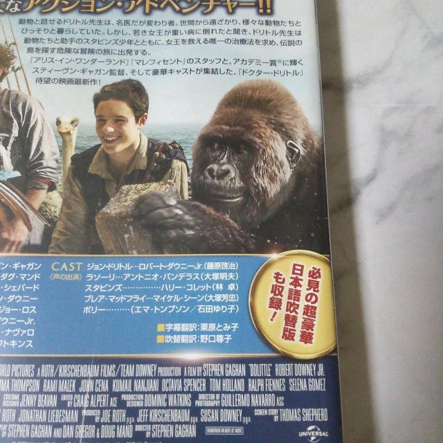 映画DVD『ドクター・ドリトル』ロバート・ダウニーJr.  ケースあり < CD/DVD/ビデオ  映画DVD『ドクター・ドリトル』ロバート・ダウニーJr.  ケースあり < CD/DVD/ビデオの