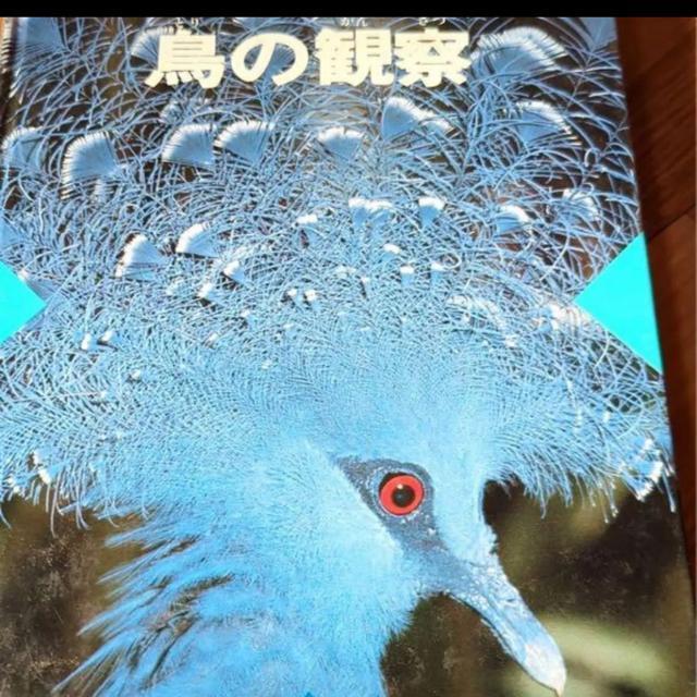̊ώ@}   {/G 