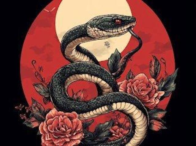 nCNIeB[ TVcwr  ԎD  jt@bV 