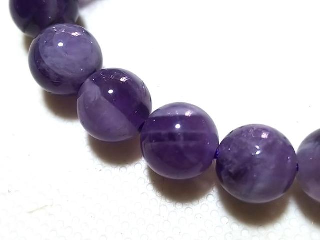 �V�R�΁��V�F�u�����A���W�X�g�@���E���h�W�����@���A �� �����A�N�Z�T���[/���v�� 