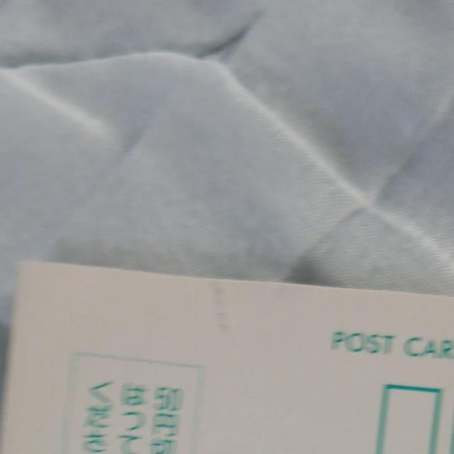 �A�j���̃|�X�g�J�[�h�l���@�h���S���{�[���@�}�N���X�@�V�n���p�@�|�̘B���p�t �� �z�r�[�� 