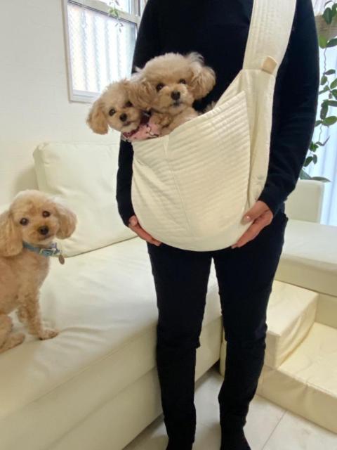 *STCY ybgXO R L[obO ^ L ybg n  ybg/|/| 