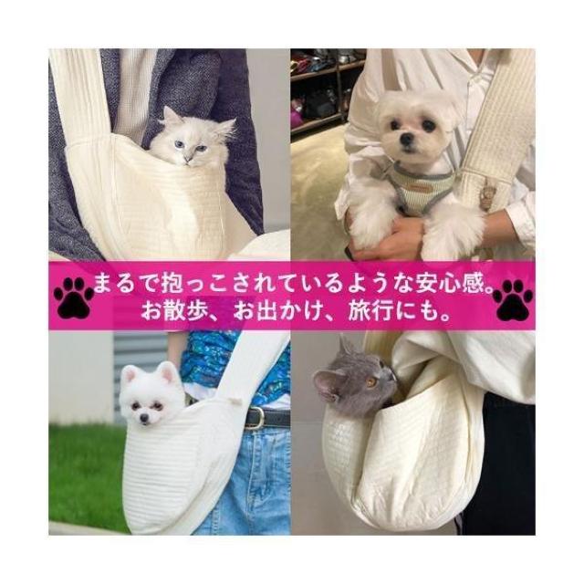 *STCY ybgXO R L[obO ^ L ybg n  ybg/|/| 