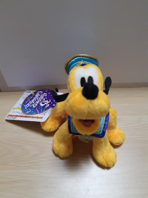 PLUTO ʂ TDL35N    