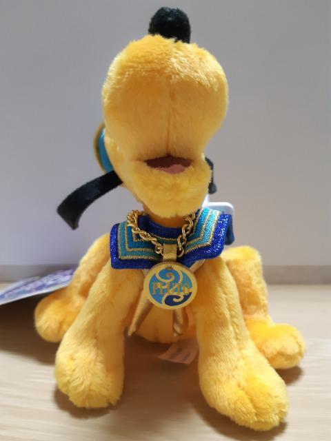 PLUTO ʂ TDL35N   
