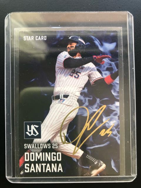 QOQTJr[싅Pe/r-POENgX[YED,T^imTCpŁn   g[fBOJ[h 