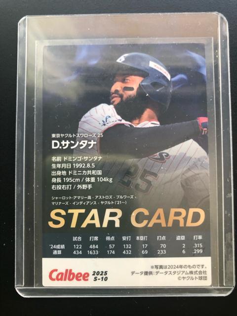 QOQTJr[싅Pe/r-POENgX[YED,T^imTCpŁn  g[fBOJ[h 