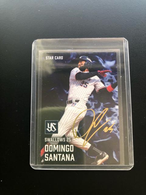 QOQTJr[싅Pe/r-POENgX[YED,T^imTCpŁn  g[fBOJ[h 