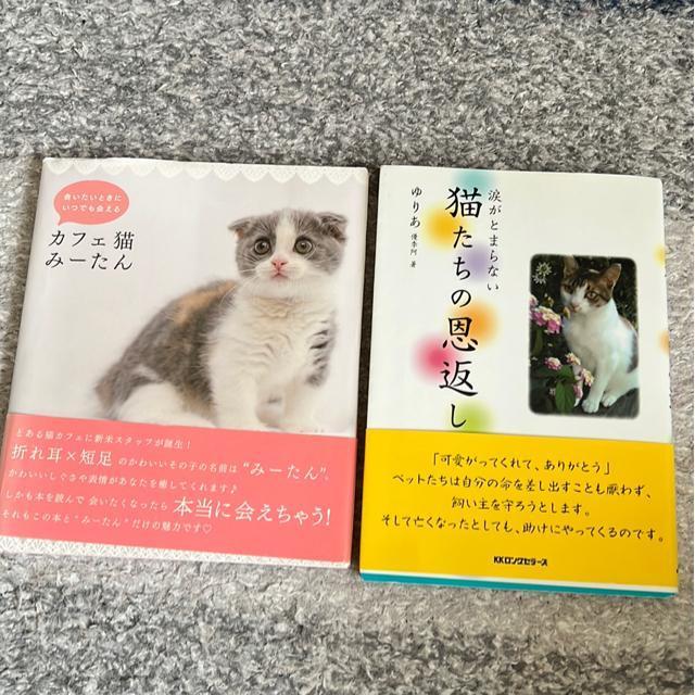 �L�����{�i�Q���Z�b�g�j  �� �y�b�g/��|/���|�� 