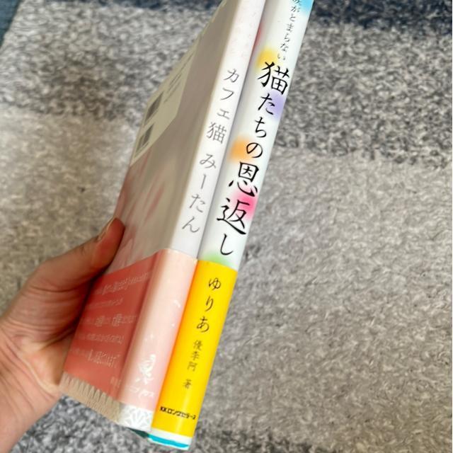 �L�����{�i�Q���Z�b�g�j �� �y�b�g/��|/���|�� 