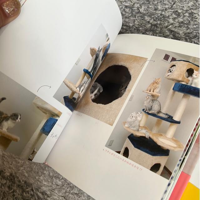 �L�����{�i�Q���Z�b�g�j �� �y�b�g/��|/���|�� 