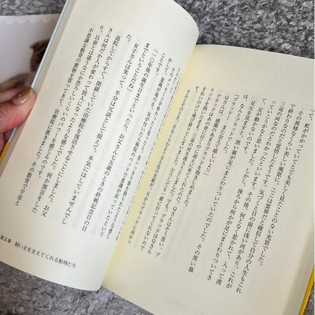 �L�����{�i�Q���Z�b�g�j �� �y�b�g/��|/���|�� 