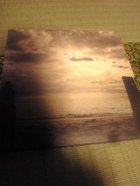 清春(黒夢SADS)VINNYBEACH DVD付き < タレントグッズ  清春(黒夢SADS)VINNYBEACH DVD付き  < タレントグッズの