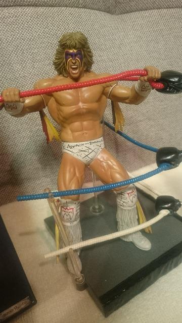 JiI MdIWWE FURY t[[ AeBbgDEHA[ WCW 2008  zr[ 