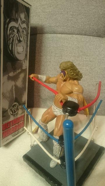 JiI MdIWWE FURY t[[ AeBbgDEHA[ WCW 2008  zr[ 