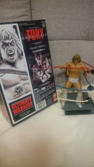 JiI MdIWWE FURY t[[ AeBbgDEHA[ WCW 2008  zr[ 