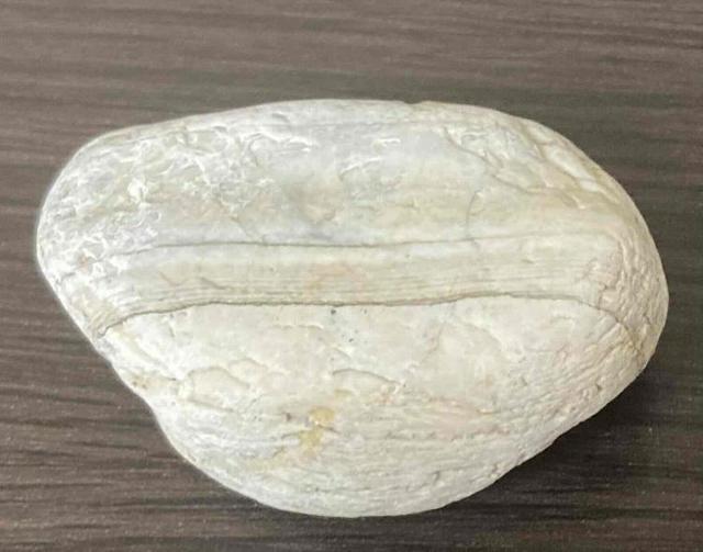 1,500円スタート!「ワイヤー作家」や「ジュエリー作家」の素材に阿波貴石(アゲート(白瑪瑙))原石 < 女性ファッション  1,500円スタート!「ワイヤー作家」や「ジュエリー作家」の素材に阿波貴石(アゲート(白瑪瑙))原石 < 女性ファッションの