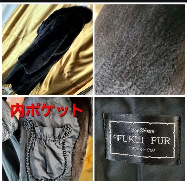 FUKUI FURVFA[h~NtHbNXR[g  t@bV 