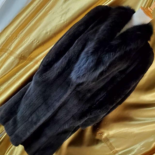 FUKUI FURVFA[h~NtHbNXR[g  t@bV 