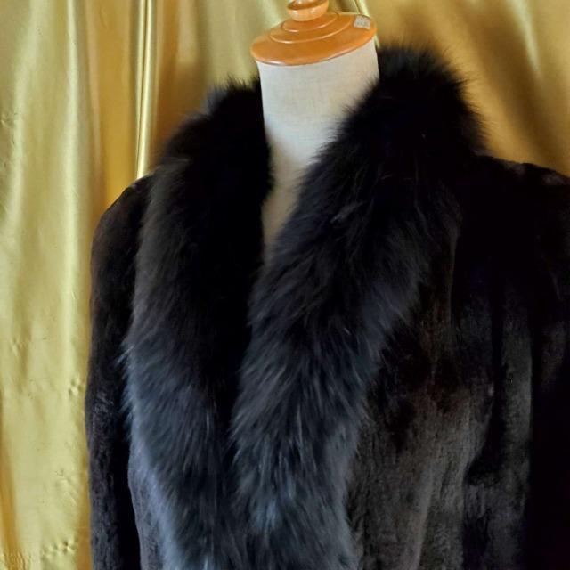 FUKUI FURVFA[h~NtHbNXR[g  t@bV 