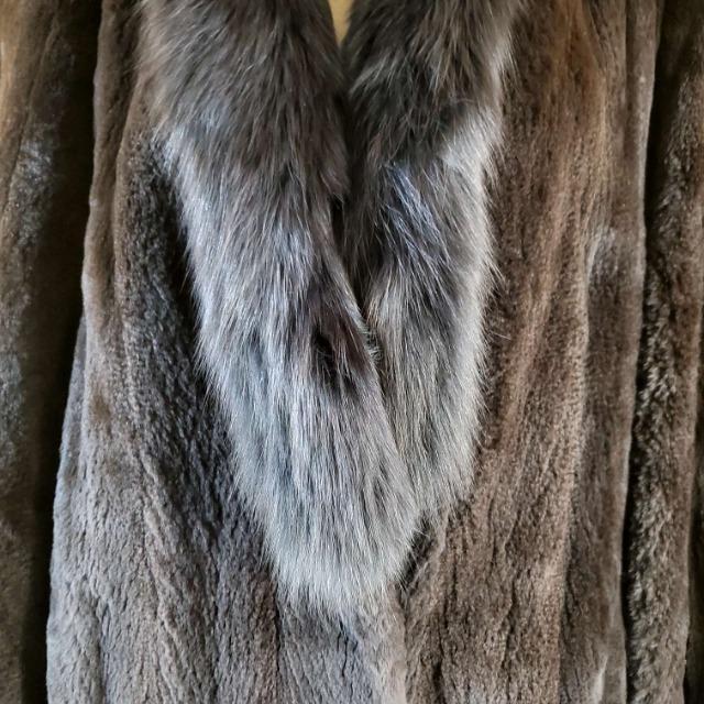 FUKUI FURVFA[h~NtHbNXR[g  t@bV 