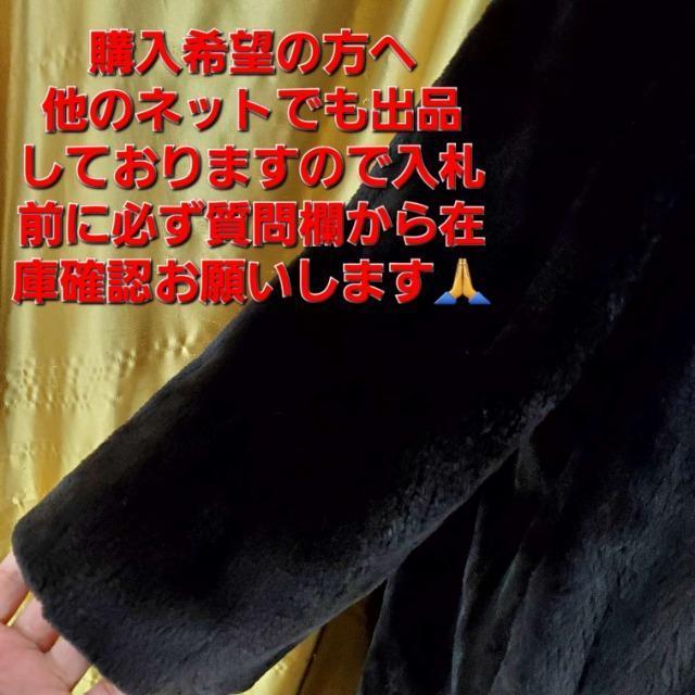 FUKUI FURVFA[h~NtHbNXR[g  t@bV 